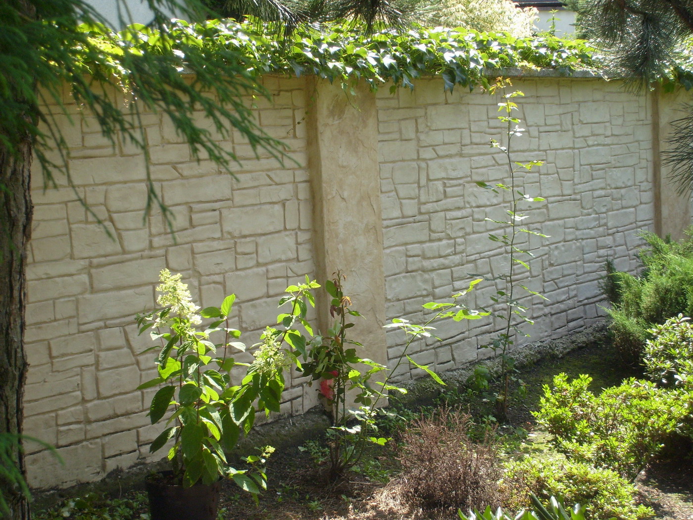 Ogrodzenie z betonu imitującego kamień, z roślinami u podstawy i bluszczem na górze, widziane w słoneczny dzień.